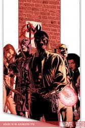 HOUSE OF M: AVENGERS TPB (2008)